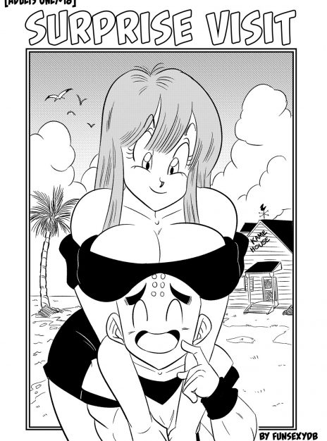 mangaporn.net - Surprise Visit – FunsexyDB