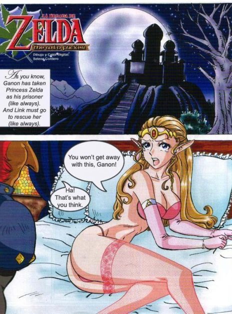 mangaporn.net - Zelda – The Wild Fucker