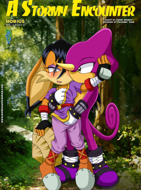 mangaporn.net - A Stormy Encounter – Palcomix